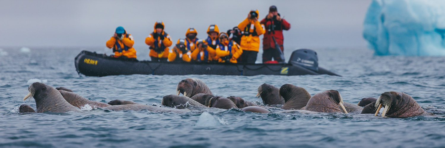 Three Arctic Islands